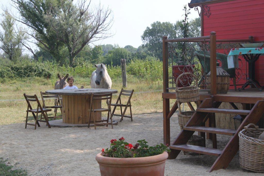La Roulotte "Les Saintes" B&B 외부 사진